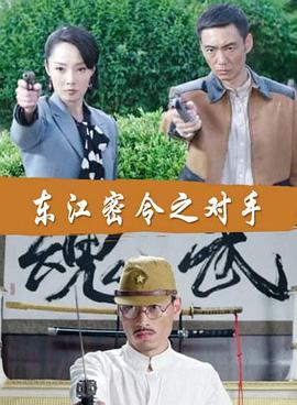 密战介绍海报剧照